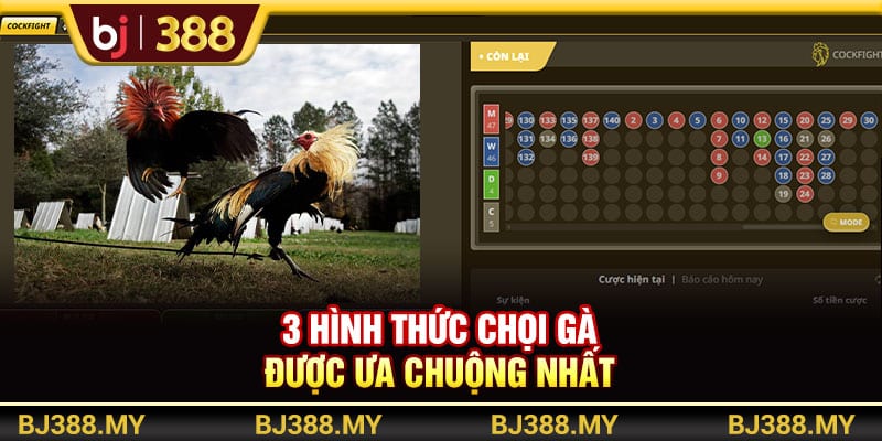 Sân Chơi Đá Gà BJ388 Cung Cấp 100+ Trận Đấu Mỗi Ngày 4 https://wagdata.sa.com 3 hình thức chọi gà được ưa chuộng nhất