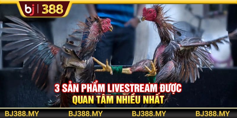 Tận Hưởng Livestream Đá Gà Cực Mãn Nhãn Tại Nền Tảng BJ388 4 https://wagdata.sa.com 3 sản phẩm livestream được quan tâm nhiều nhất