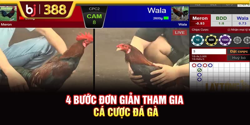 Đá Gà SV368 Livestream Full HD Hơn 500 Trận Đấu Mỗi Tuần 4 https://wagdata.sa.com 4 bước đơn giản tham gia cá cược đá gà
