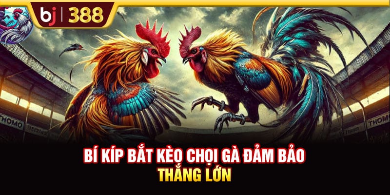 GA6789 Trực Tiếp Đá Gà Thomo Full HD Đẳng Cấp Quốc Tế 4 https://wagdata.sa.com Bí kíp bắt kèo chọi gà đảm bảo thắng lớn