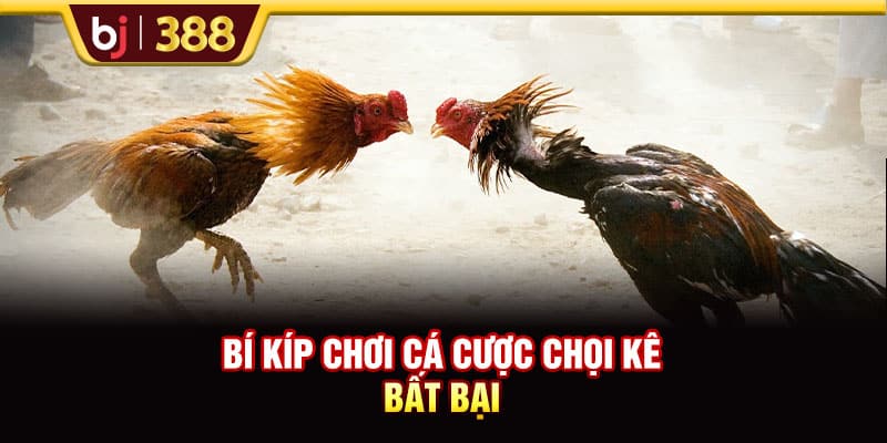 Trải Nghiệm Sân Chơi BJ38 Kiếm Về Phần Thưởng Cực Khủng 4 https://wagdata.sa.com Bí kíp chơi cá cược chọi kê bất bại