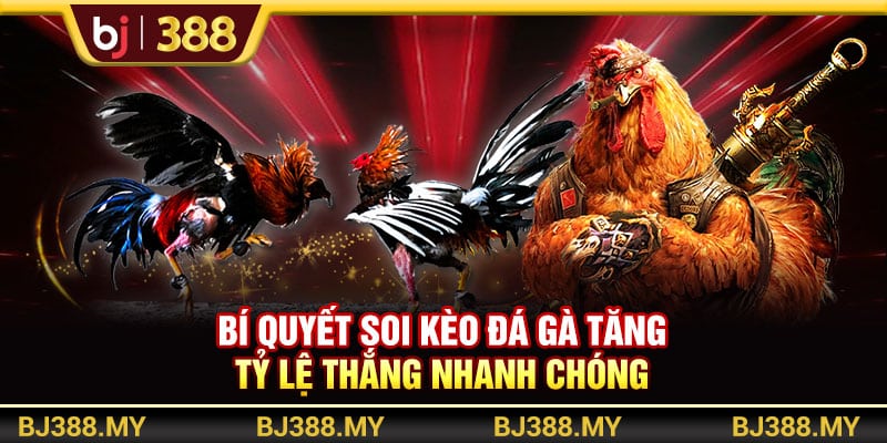 Bí Quyết Soi Kèo Đá Gà BJ388 Tăng Tỷ Lệ Thắng Nhanh Chóng 1 https://wagdata.sa.com Bí Quyết Soi Kèo Đá Gà BJ388 Tăng Tỷ Lệ Thắng Nhanh Chóng