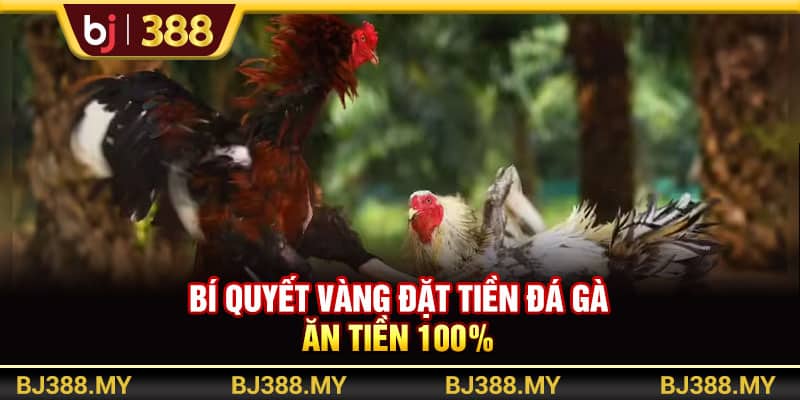 Đá Gà Hôm Nay BJ388 Và Bí Quyết Săn Thưởng Cực Đỉnh 4 https://wagdata.sa.com Bí quyết vàng đặt tiền đá gà ăn tiền 100%
