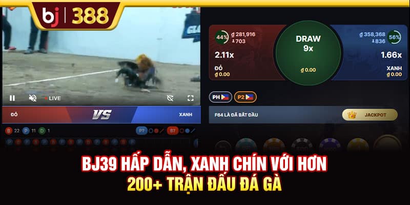 BJ39 Hấp Dẫn, Xanh Chín Với Hơn 200+ Trận Đấu Đá Gà 1 https://wagdata.sa.com BJ39 Hấp Dẫn, Xanh Chín Với Hơn 200+ Trận Đấu Đá Gà