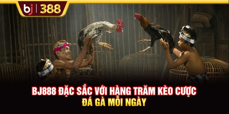 BJ888 Đặc Sắc Với Hàng Trăm Kèo Cược Đá Gà Mỗi Ngày 1 https://wagdata.sa.com BJ888 Đặc Sắc Với Hàng Trăm Kèo Cược Đá Gà Mỗi Ngày