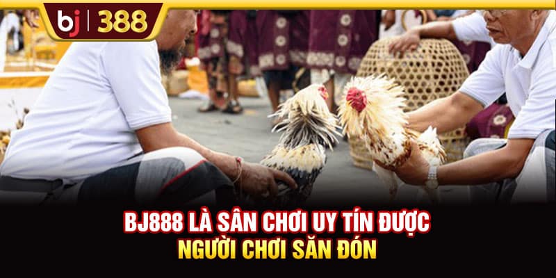 BJ888 Đặc Sắc Với Hàng Trăm Kèo Cược Đá Gà Mỗi Ngày 2 https://wagdata.sa.com BJ888 là sân chơi uy tín được người chơi săn đón
