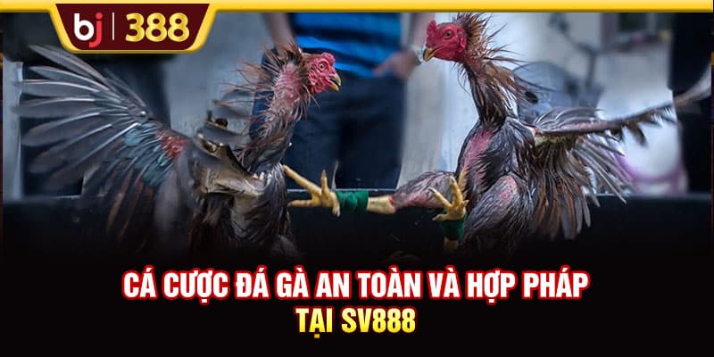 Nhà Cái SV888 Uy Tín Với Những Trận Đá Gà Đẳng Cấp 3 https://wagdata.sa.com Cá cược đá gà an toàn và hợp pháp tại SV888