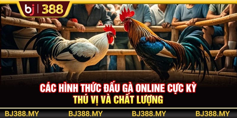 Trải Nghiệm Đá Gà Online BJ388 Đỉnh Cao Và Đầy Tiện Lợi 3 https://wagdata.sa.com Các hình thức đấu gà online cực kỳ thú vị và chất lượng