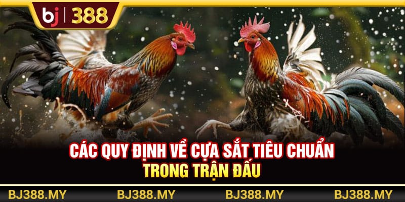 Đá Gà Cựa Sắt Gay Cấn Với Tỷ Lệ Cược Cao Tại Nhà Cái BJ388 3 https://wagdata.sa.com Các quy định về cựa sắt tiêu chuẩn trong trận đấu