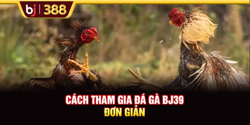 BJ39 Hấp Dẫn, Xanh Chín Với Hơn 200+ Trận Đấu Đá Gà 4 https://wagdata.sa.com Cách tham gia đá gà BJ39 đơn giản