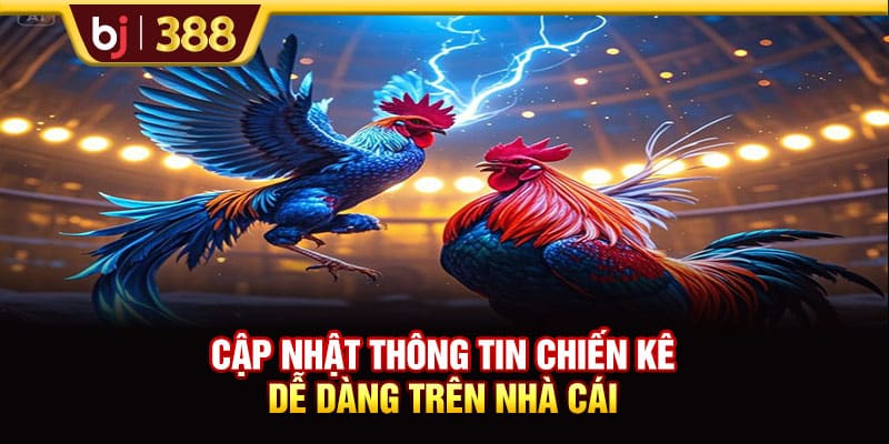 BOGA66 Trải Nghiệm 500+ Màn Tranh Tài Siêu Kịch Tính 3 https://wagdata.sa.com Cập nhật thông tin chiến kê dễ dàng trên nhà cái