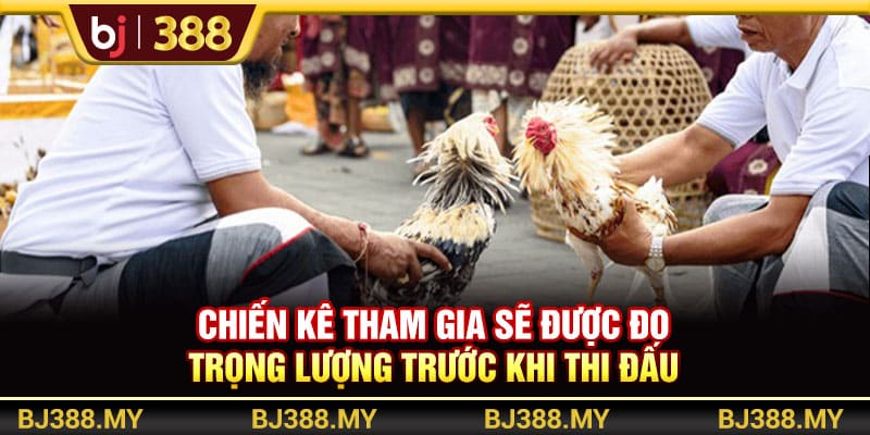 Khám Phá Đá Gà Campuchia BJ388 Với Trải Nghiệm Gay Cấn 3 https://wagdata.sa.com Chiến kê tham gia sẽ được đo trọng lượng trước khi thi đấu