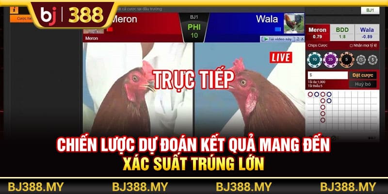 Khám Phá Đá Gà Campuchia BJ388 Với Trải Nghiệm Gay Cấn 4 https://wagdata.sa.com Chiến lược dự đoán kết quả mang đến xác suất trúng lớn