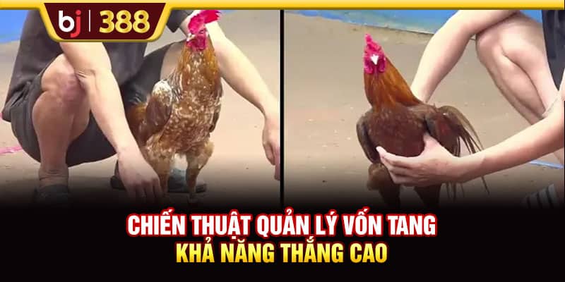 BOGA66 Trải Nghiệm 500+ Màn Tranh Tài Siêu Kịch Tính 4 https://wagdata.sa.com Chiến thuật quản lý vốn tăng khả năng thắng cao