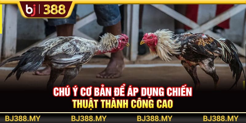 Các Chiến Thuật Đá Gà Hay Và Hiệu Quả Từ Chuyên Gia BJ388 4 https://wagdata.sa.com Chú ý cơ bản để áp dụng chiến thuật thành công cao