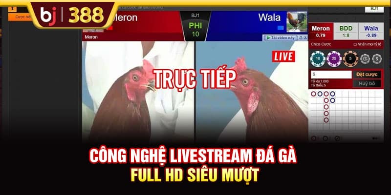 Đá Gà SV368 Livestream Full HD Hơn 500 Trận Đấu Mỗi Tuần 3 https://wagdata.sa.com Công nghệ livestream đá gà Full HD siêu mượt