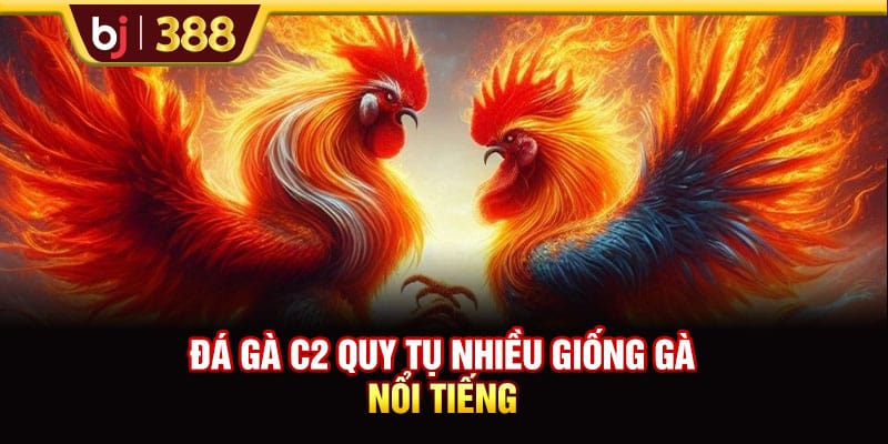 Trực Tiếp Đá Gà C2 Với Các Trận Đấu Thu Hút Và Kịch Tính 4 https://wagdata.sa.com Đá gà C2 quy tụ nhiều giống gà nổi tiếng