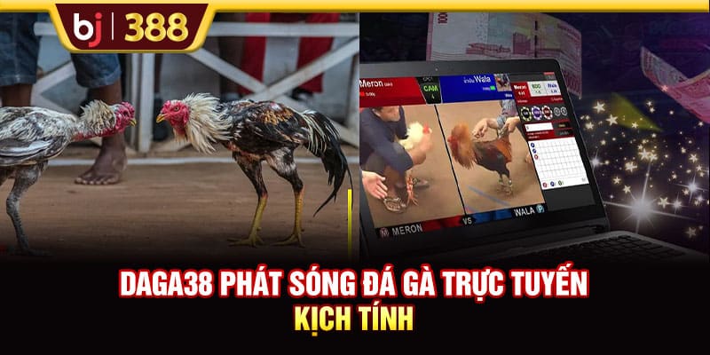 Trải Nghiệm Đá Gà DAGA38 Với Tỷ Lệ Cược Lên Đến 1:90 2 https://wagdata.sa.com DAGA38 phát sóng đá gà trực tuyến kịch tính