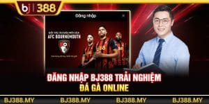 Đăng Nhập BJ388 Trải Nghiệm Đá Gà Và Cá Cược Online