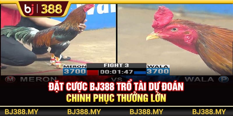 Đặt Cược BJ388 Trổ Tài Dự Đoán Chinh Phục Thưởng Lớn 1 https://wagdata.sa.com Đặt Cược BJ388 Trổ Tài Dự Đoán Chinh Phục Thưởng Lớn