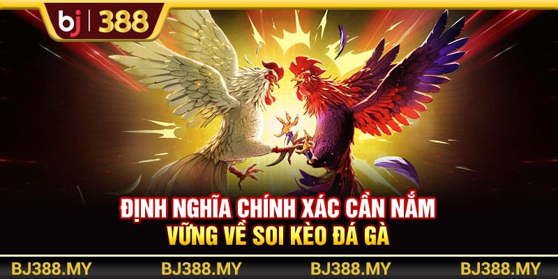 Bí Quyết Soi Kèo Đá Gà BJ388 Tăng Tỷ Lệ Thắng Nhanh Chóng 2 https://wagdata.sa.com Định nghĩa chính xác cần nắm vững về soi kèo đá gà