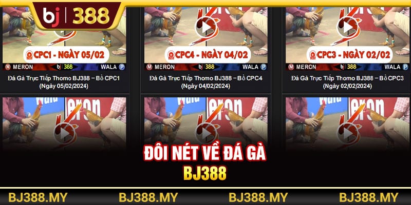Sân Chơi Đá Gà BJ388 Cung Cấp 100+ Trận Đấu Mỗi Ngày 2 https://wagdata.sa.com Đôi nét về sảnh chơi đá gà BJ388