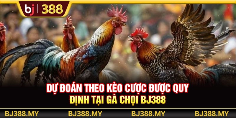 Gà Chọi BJ388 Xanh Chín Với Trận Đấu Hấp Dẫn, Thưởng Cao 4 https://wagdata.sa.com Dự đoán theo kèo cược được quy định tại gà chọi BJ388