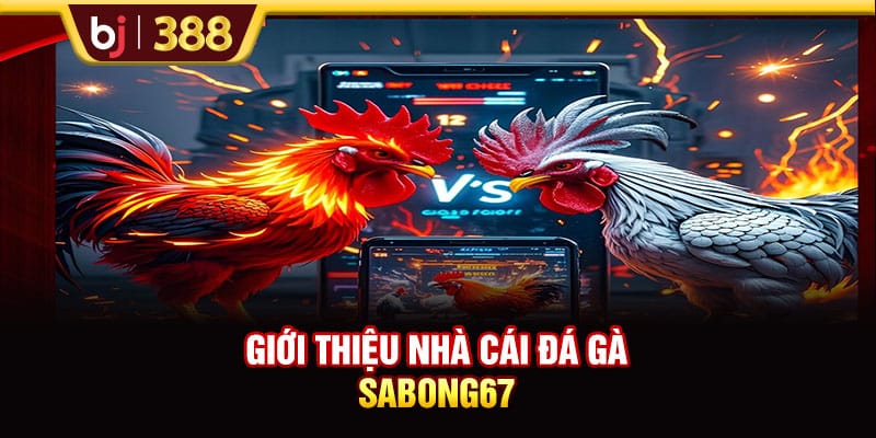 SABONG67 Livestream Đá Gà Full HD Và Cược Không Giới Hạn 2 https://wagdata.sa.com Giới thiệu nhà cái đá gà SABONG67