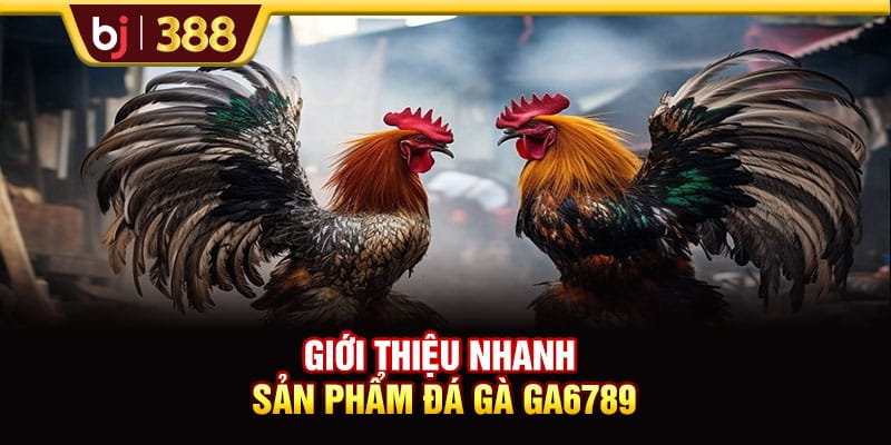 GA6789 Trực Tiếp Đá Gà Thomo Full HD Đẳng Cấp Quốc Tế 2 https://wagdata.sa.com Giới thiệu nhanh sản phẩm đá gà GA6789