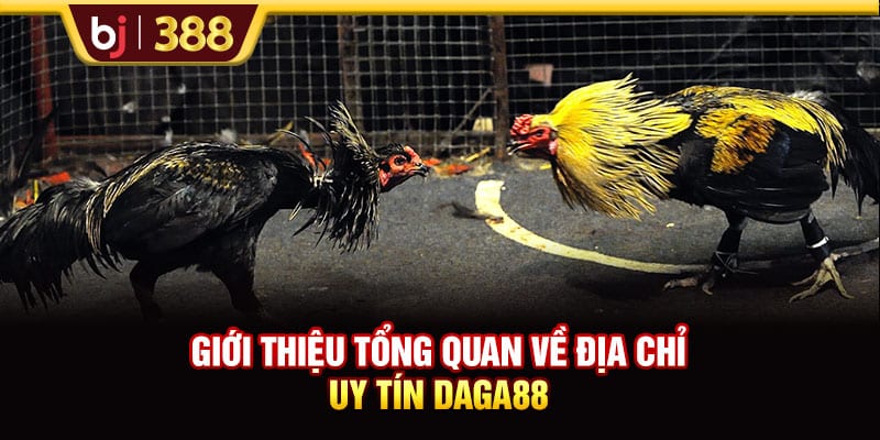 DAGA88 - Điểm Đến Uy Tín Thỏa Mãn Đam Mê Đá Gà Online 2 https://wagdata.sa.com Giới thiệu tổng quan về địa chỉ uy tín DAGA88