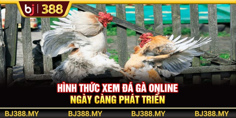 Link Đá Gà BJ388 Uy Tín Và Chất Lượng Top Đầu Thị Trường 2 https://wagdata.sa.com Hình thức xem đá gà online ngày càng phát triển
