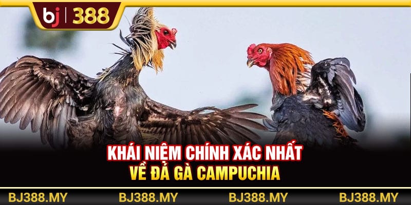 Khám Phá Đá Gà Campuchia BJ388 Với Trải Nghiệm Gay Cấn 2 https://wagdata.sa.com Khái niệm chính xác nhất về đá gà Campuchia