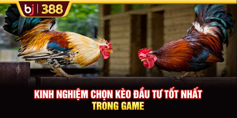 Trực Tiếp Đá Gà C3 Hôm Nay Tốc Độ Cao, Hình Ảnh Full HD 4 https://wagdata.sa.com Kinh nghiệm chọn kèo đầu tư tốt nhất trong game