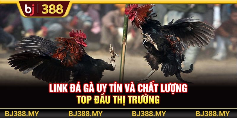 Link Đá Gà BJ388 Uy Tín Và Chất Lượng Top Đầu Thị Trường 1 https://wagdata.sa.com Link Đá Gà BJ388 Uy Tín Và Chất Lượng Top Đầu Thị Trường