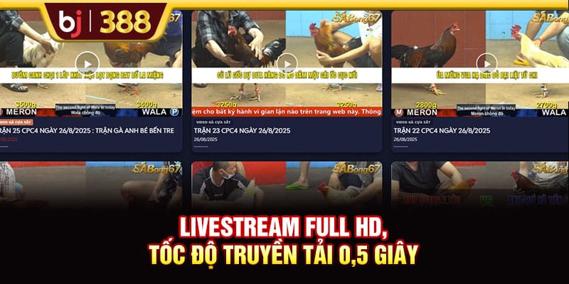 Trải Nghiệm Đá Gà DAGA38 Với Tỷ Lệ Cược Lên Đến 1:90 3 https://wagdata.sa.com Livestream Full HD, tốc độ truyền tải 0,5 giây
