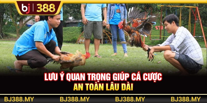 Đặt Cược BJ388 Trổ Tài Dự Đoán Chinh Phục Thưởng Lớn 4 https://wagdata.sa.com Lưu ý quan trọng giúp cá cược an toàn lâu dài