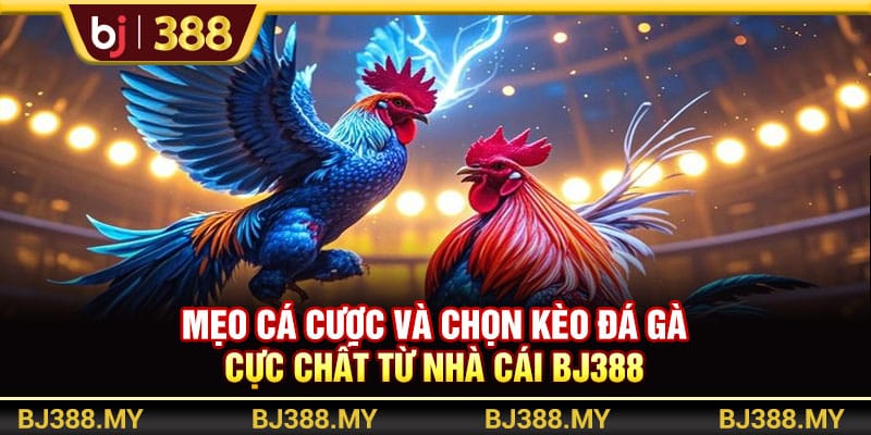 Mẹo Cá Cược Và Chọn Kèo Đá Gà Cực Chất Từ Nhà Cái BJ388 1 https://wagdata.sa.com Mẹo Cá Cược Và Chọn Kèo Đá Gà Cực Chất Từ Nhà Cái BJ388