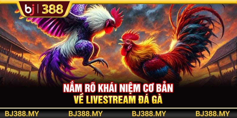 Tận Hưởng Livestream Đá Gà Cực Mãn Nhãn Tại Nền Tảng BJ388 2 https://wagdata.sa.com Nắm rõ khái niệm cơ bản về livestream đá gà