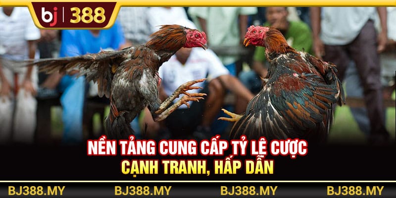 Tận Hưởng Livestream Đá Gà Cực Mãn Nhãn Tại Nền Tảng BJ388 3 https://wagdata.sa.com Nền tảng cung cấp tỷ lệ cược cạnh tranh, hấp dẫn