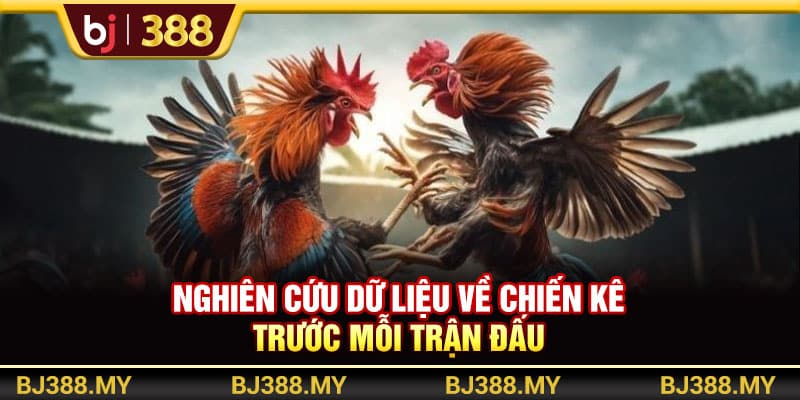 Đá Gà Trực Tiếp Và Bí Quyết Thắng Lớn Tại BJ388 4 https://wagdata.sa.com Nghiên cứu dữ liệu về chiến kê trước mỗi trận đấu