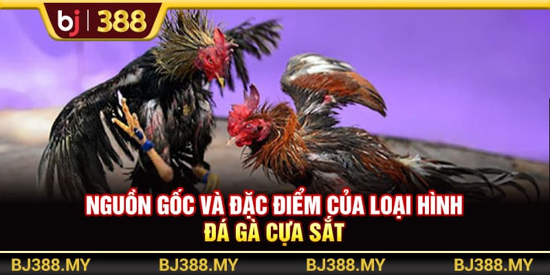 Đá Gà Cựa Sắt Gay Cấn Với Tỷ Lệ Cược Cao Tại Nhà Cái BJ388 2 https://wagdata.sa.com Nguồn gốc và đặc điểm của loại hình đá gà cựa sắt
