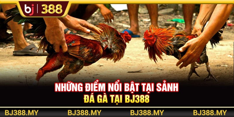 Đá Gà Hôm Nay BJ388 Và Bí Quyết Săn Thưởng Cực Đỉnh 2 https://wagdata.sa.com Những điểm nổi bật tại sảnh đá gà BJ388