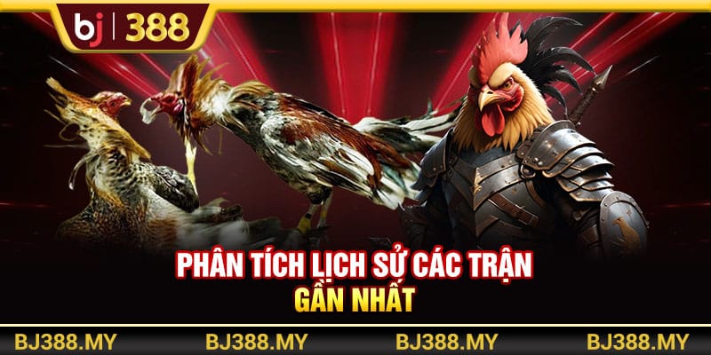 Mẹo Cá Cược Và Chọn Kèo Đá Gà Cực Chất Từ Nhà Cái BJ388 4 https://wagdata.sa.com Phân tích lịch sử các trận gần nhất