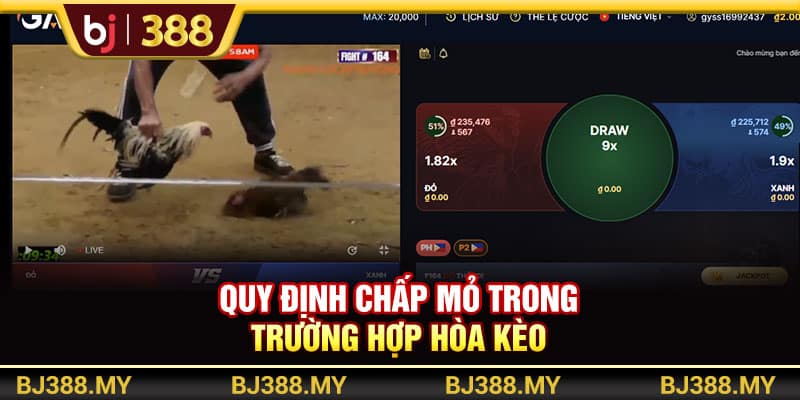 Đá Gà Thomo BJ388 Là Gì? 3 Hình Thức Thi Đấu Hấp Dẫn Nhất 3 https://wagdata.sa.com Quy định chấp mỏ trong trường hợp hòa kèo