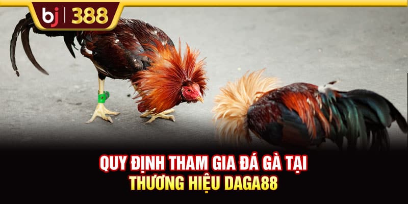 DAGA88 - Điểm Đến Uy Tín Thỏa Mãn Đam Mê Đá Gà Online 4 https://wagdata.sa.com Quy định tham gia đá gà tại thương hiệu DAGA88
