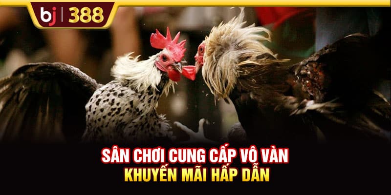 Trải Nghiệm Sân Chơi BJ38 Kiếm Về Phần Thưởng Cực Khủng 3 https://wagdata.sa.com Sân chơi cung cấp vô vàn khuyến mãi hấp dẫn