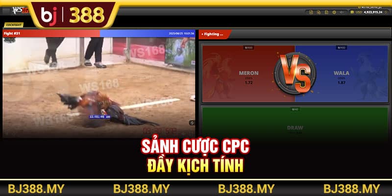 Sân Chơi Đá Gà BJ388 Cung Cấp 100+ Trận Đấu Mỗi Ngày 3 https://wagdata.sa.com Sảnh cược CPC đầy kịch tính