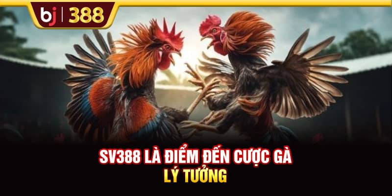 Trải Nghiệm SV388 Đấu Gà Trực Tuyến Đặc Sắc Hàng Đầu 2 https://wagdata.sa.com SV388 là điểm đến cược gà lý tưởng