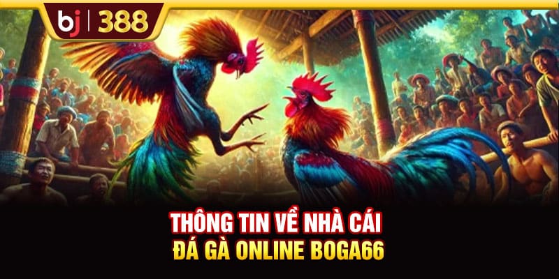 BOGA66 Trải Nghiệm 500+ Màn Tranh Tài Siêu Kịch Tính 2 https://wagdata.sa.com Thông tin về nhà cái đá gà online BOGA66
