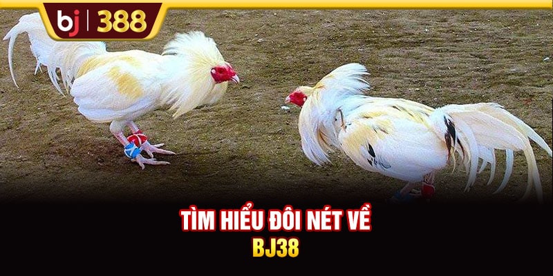 Trải Nghiệm Sân Chơi BJ38 Kiếm Về Phần Thưởng Cực Khủng 2 https://wagdata.sa.com Tìm hiểu đôi nét về BJ38